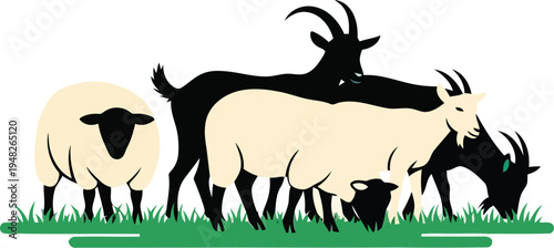 Farm Animals Silhouette with Sheep and Goats Grazing on Grass for Agricultural Logo Design