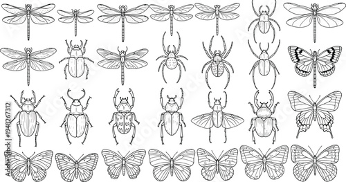 Hand drawn insects collection with butterfly, dragonfly, beetle, spider, nature line art doodles, garden bug sketches, outline vector, 158 characters.