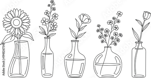 Hand drawn minimalist line art floral collection featuring various flowers in glass vases, botanical sketches for interior decor, isolated on white