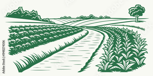 a green illustration of a field with rows of crops Vector