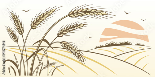 a bunch of wheat with a sun in the background Vector
