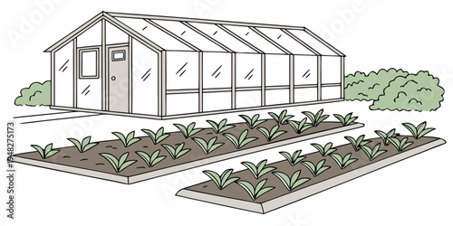 a greenhouse with two plots of land and plants growing in it Vector