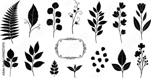 Silhouette of various plants isolated on transparent background