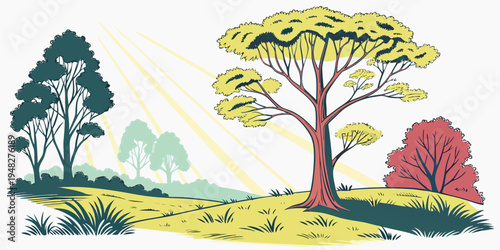 a colorful illustration of trees in a field with sun rays Vector