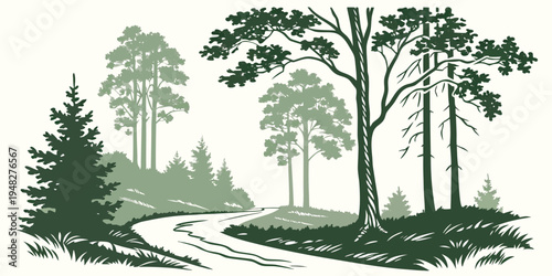 a forest landscape with a winding road and trees Vector