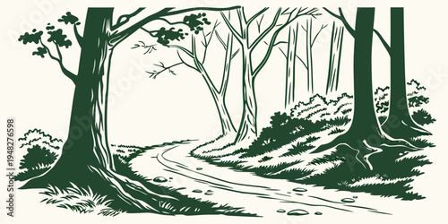 a forest path with trees on both sides Vector