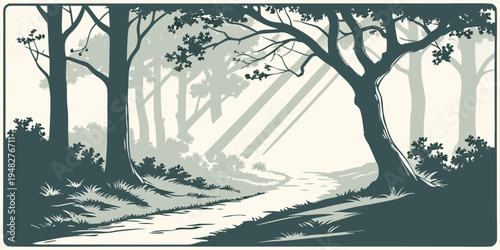 a forest path with trees and sunlight filtering through the leaves Vector