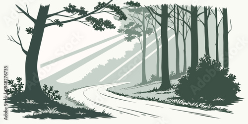 a forest path with trees and sunbeams shining through Vector