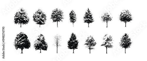 Collection of black and white tree silhouettes with varied foliage and shapes. Diverse deciduous and coniferous trees depicted