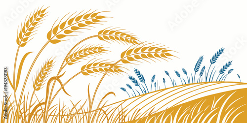 a bunch of wheat and blue grass on a white background Vector