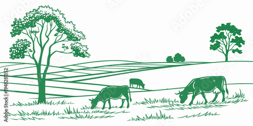 cows grazing in a field with trees Vector