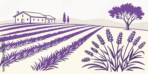 a purple illustration of a farm with a house and lavender fields Vector
