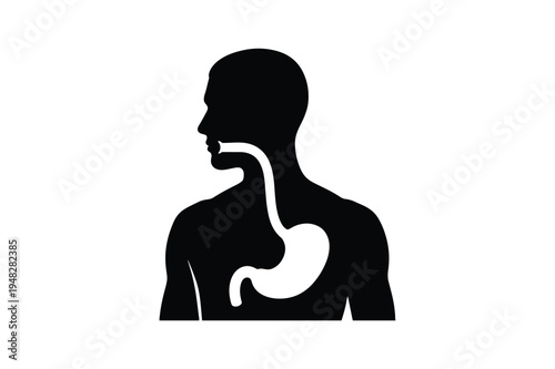 Human Stomach Health Icon Vector