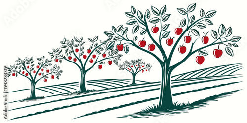 a group of trees with red apples in an orchard Vector