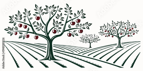 an orchard with trees and rows of crops Vector