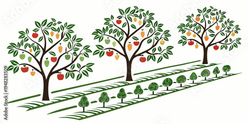 Three apple trees with colorful apples in an orchard Vector