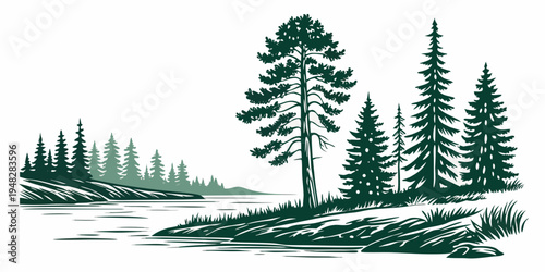 a group of pine trees on a snowy hill by a lake Vector