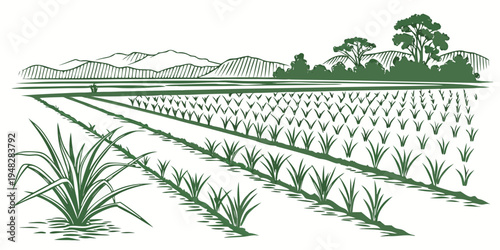 a green illustration of a field with rows of crops and trees in the background Vector