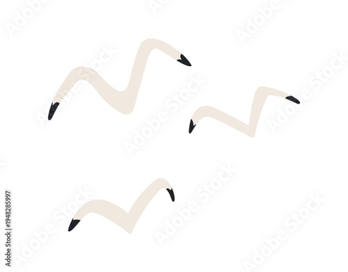 Flying seagull, marine bird illustration isolated set. Aquatic bird, coastal wildlife. Kids nautical print, design element, clip art collection. Hand drawn flat vector on white background