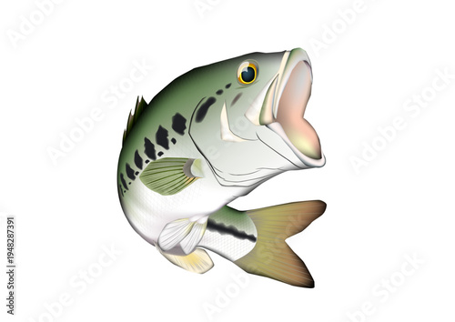 ブラックバス　ふりかえり　マイルドなタッチのイラスト