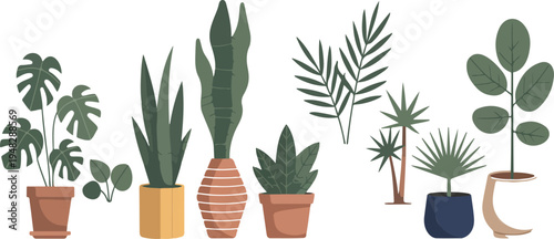 Set of potted houseplants in various pots, perfect for home decor, indoor gardening, and botanical design flat vector illustration