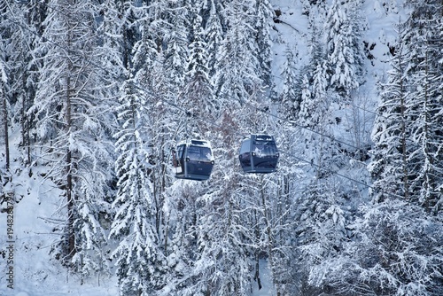 Ski lifts going up and down between snowy pine trees in French alps, ski resort Courchevel by winter