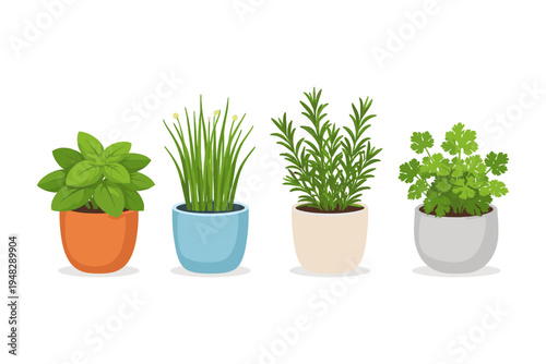 Four potted herbs including basil, chives, rosemary, and cilantro on white background