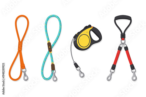 Collection of four different dog leashes and leads for walking pets outdoors