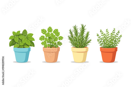 Four potted herbs including basil, cilantro, rosemary, and thyme on a white background