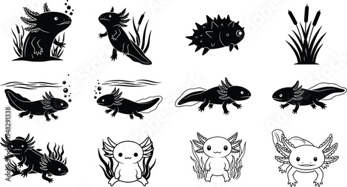 Axolotl vector silhouettes and cute line art collection featuring mexican walking fish in various poses with aquatic plants and bubbles.