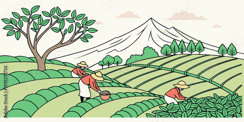 tea pickers working in a field with a mountain Vector