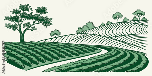 a green vineyard with rows of crops and trees Vector