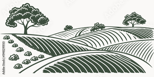 a green illustration of a vineyard with rolling hills and trees Vector