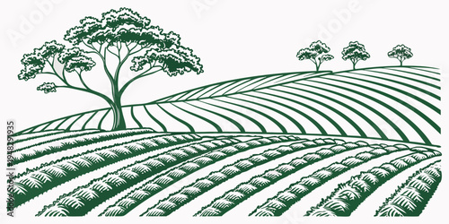a green illustration of a field with rows of crops and trees Vector