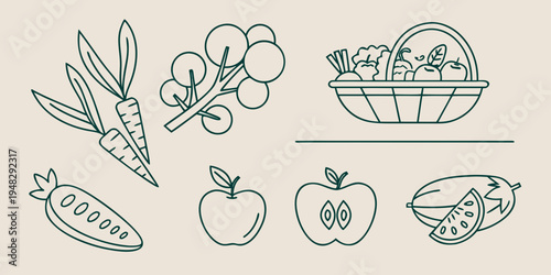 a collection of fresh fruits and vegetables Vector