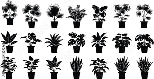 Collection of Twenty One Black Potted Houseplant Silhouettes Featuring Monstera Fern Snake Plant and Palm Trees for Interior Design Graphics