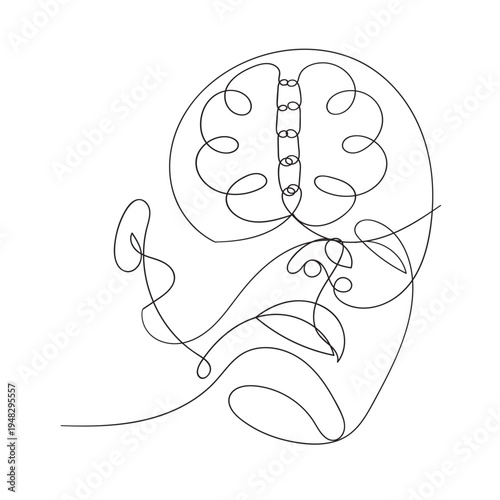 Continuous one line drawing of human brain. Hand drawn minimalism style. brain line art vector illustration Human brain continuous one line drawing of art vector illustration and intelligence outline