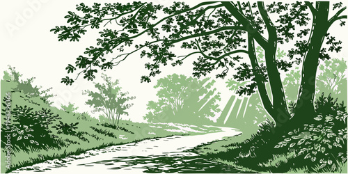 a forest path with trees on a sunny day Vector