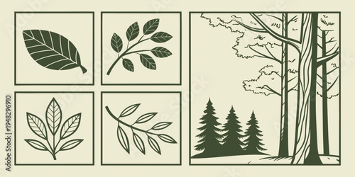 a collection of tree leaves and branches Vector