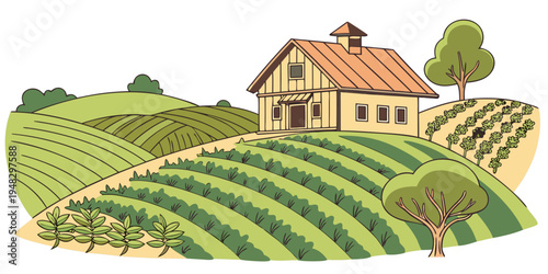 a house on a hill with vineyards Vector