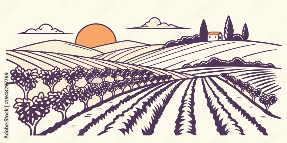 Fototapeta premium vineyard landscape at sunset with rows of grapevines Vector