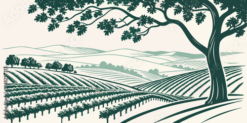 a tree standing in a vineyard on a hillside Vector