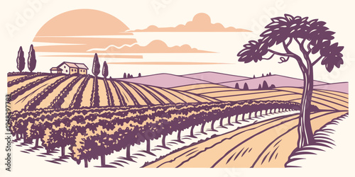 a scenic vineyard landscape at sunset with a tree and rolling hills Vector