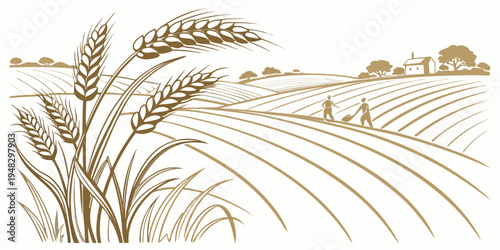 a field of wheat with a farm in the background Vector