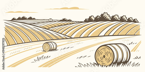 a field with hay bales in a rural landscape Vector