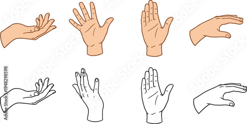 Cartoon hands in colored and line art styles showing open palms and gestures symbolizing anatomy and design reference