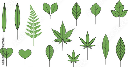 Cartoon leaf collection with diverse shapes and vein patterns symbolizing botanical study and plant classification design
