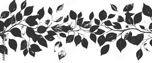 Black and white of a leafy vine with various leaf shapes and sizes leaves