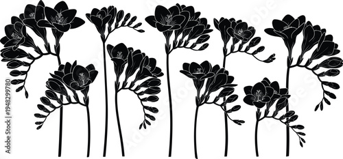 Hand Drawn Botanical Flower Silhouette Set with Elegant Floral Stems and Leaves for Nature Inspired Vector Design, Decorative Elements, Invitations, and Branding Graphics