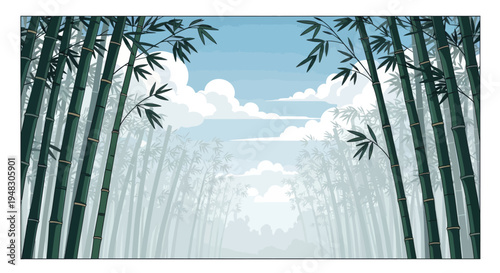 Dense green bamboo stalks frame a misty, skyward view with soft clouds